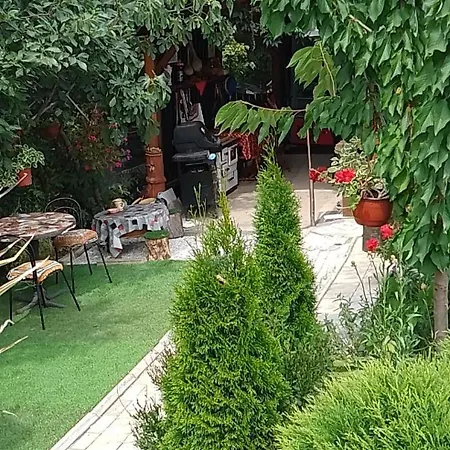 Smestaj Sa Bazenom Sunny Hill * Smederevska Palanka