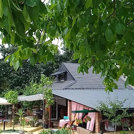公寓 Smestaj Sa Bazenom Sunny Hill Smederevska Palanka