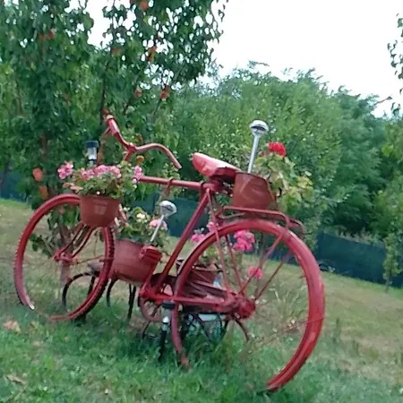 Smestaj Sa Bazenom Sunny Hill Apartamento *