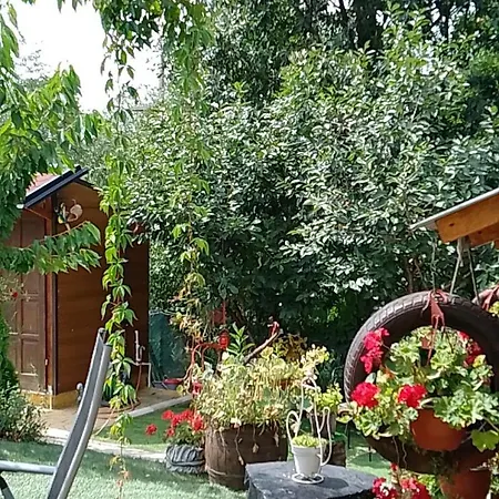 Apartamento Smestaj Sa Bazenom Sunny Hill