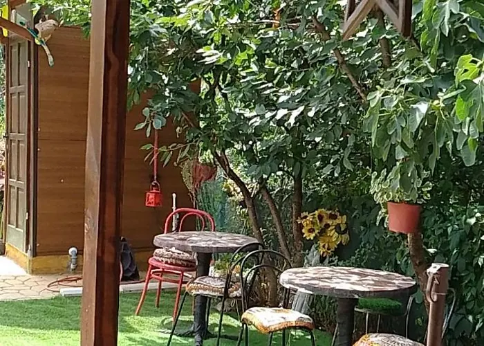 Smestaj Sa Bazenom Sunny Hill Smederevska Palanka