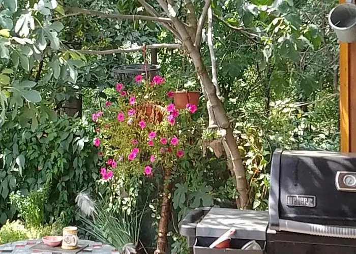 Apartment Smestaj Sa Bazenom Sunny Hill *